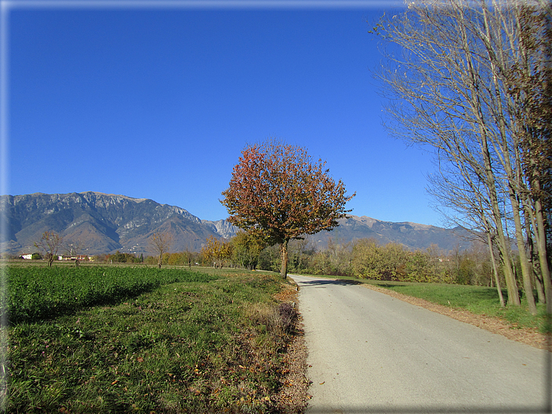 foto Alle pendici del Monte Grappa in Autunno